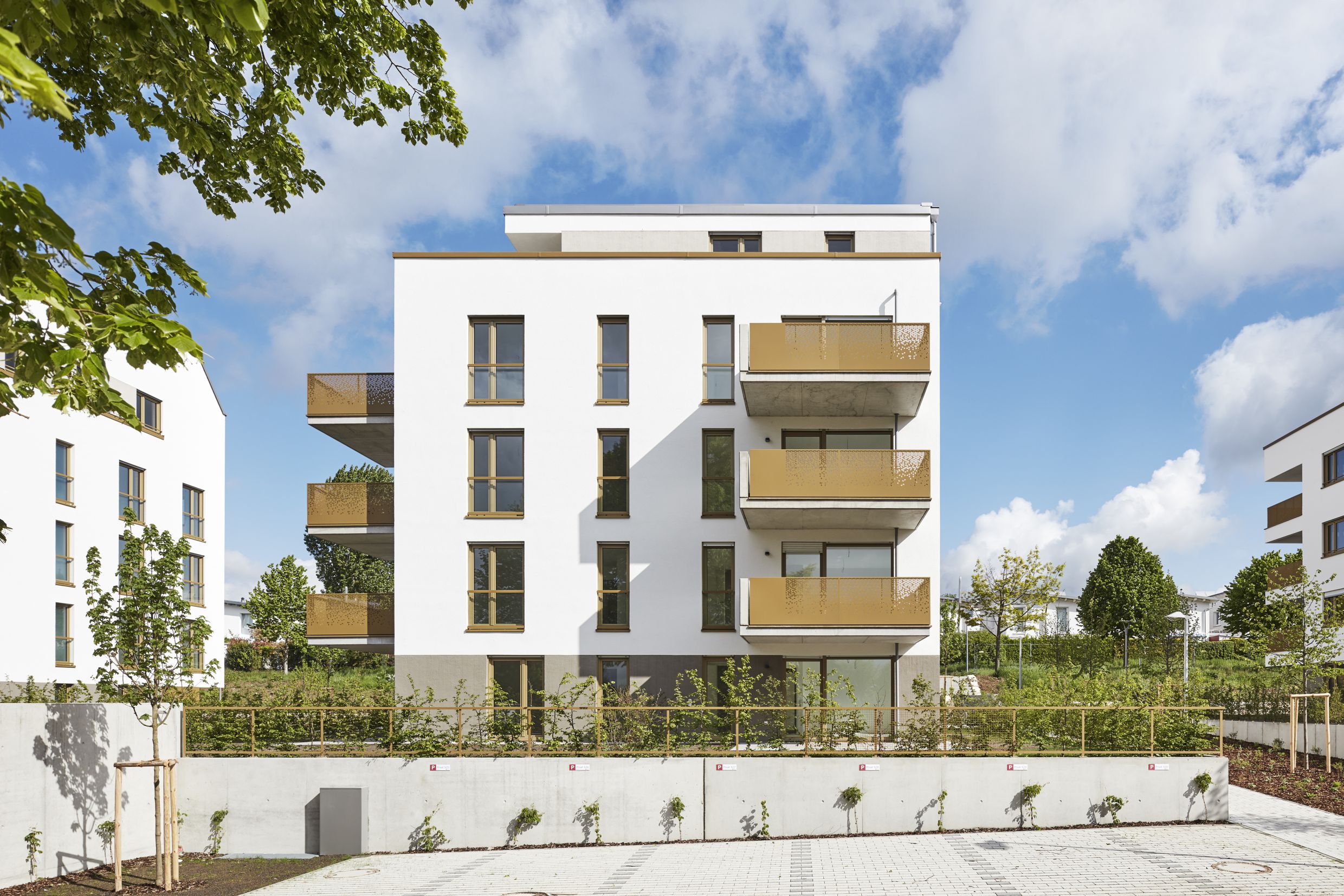 Copyright: ARP,
Dietmar Strauss Copyright: ARP, Dietmar Strauss