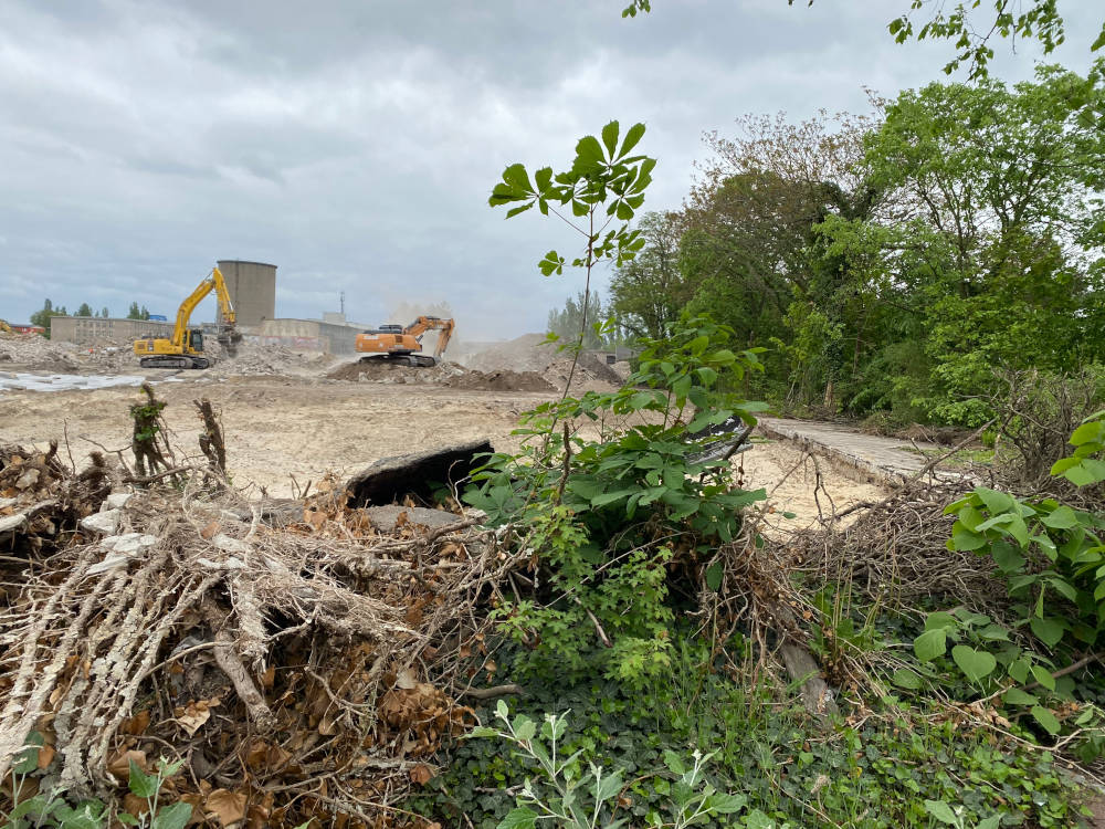 Erste Abrissarbeiten für das Stadtquartier Am Segelfliegerdamm laufen bereits. Copyright: Mara Kaemmel