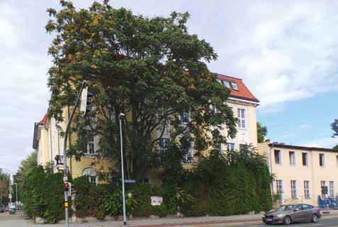 Jahrelang umrankte eine Hecke das Areal. Foto: ct-press Jahrelang umrankte eine Hecke das Areal. Foto: ct-press