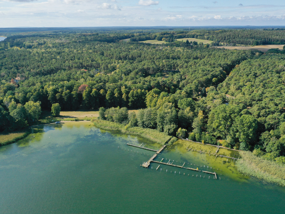 So sieht es in der Bucht von Bad Saarow aktuell noch aus. Copyright Artprojekt