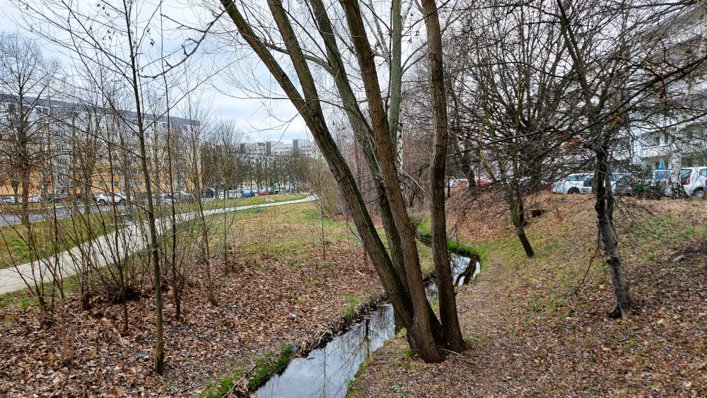 Zumindest wurde bei der Errichtung der Plattenbauten auch an Grünflächen gedacht. Copyright: Bettina Klemm