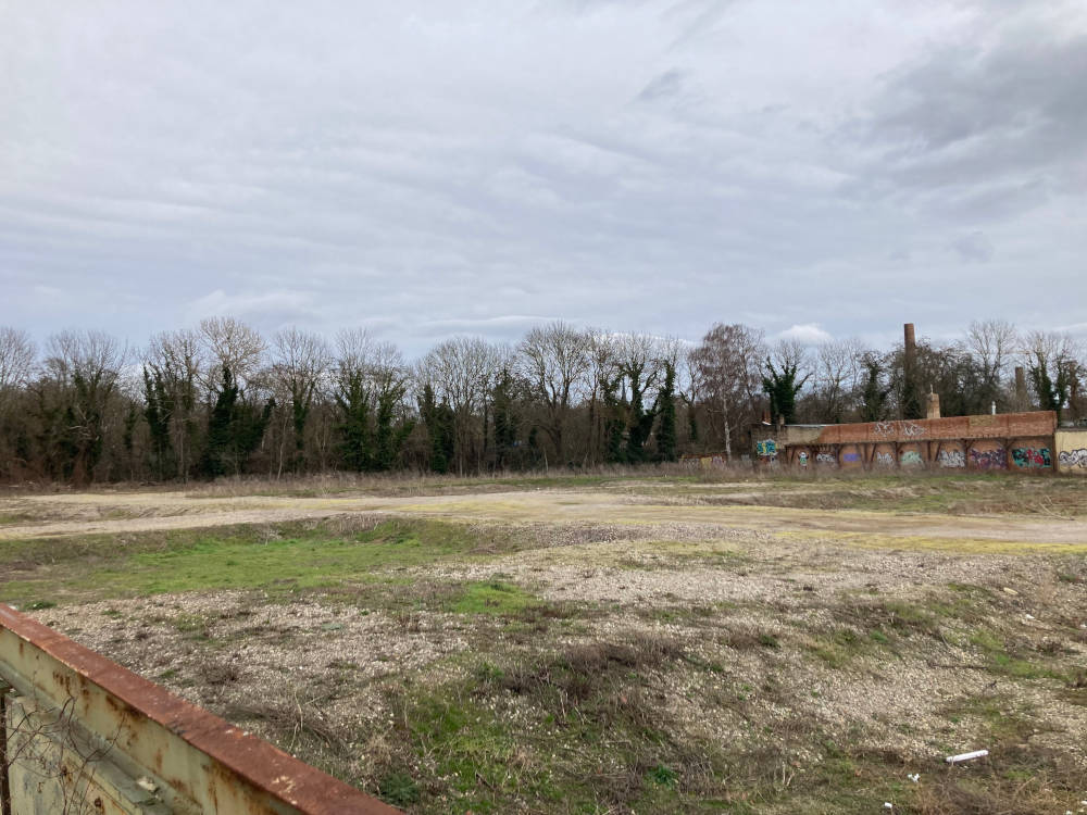 An der Südseite des Hafenbeckens befindet sich das 1,7 Hektar große Baufeld. Es wurde in den vergangenen Jahren beräumt. Foto: Steffen Höhne