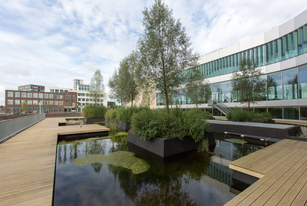 Grün spielt im und um das Stadthaus Venlo eine große Rolle. Copyright: Gemeente Venlo