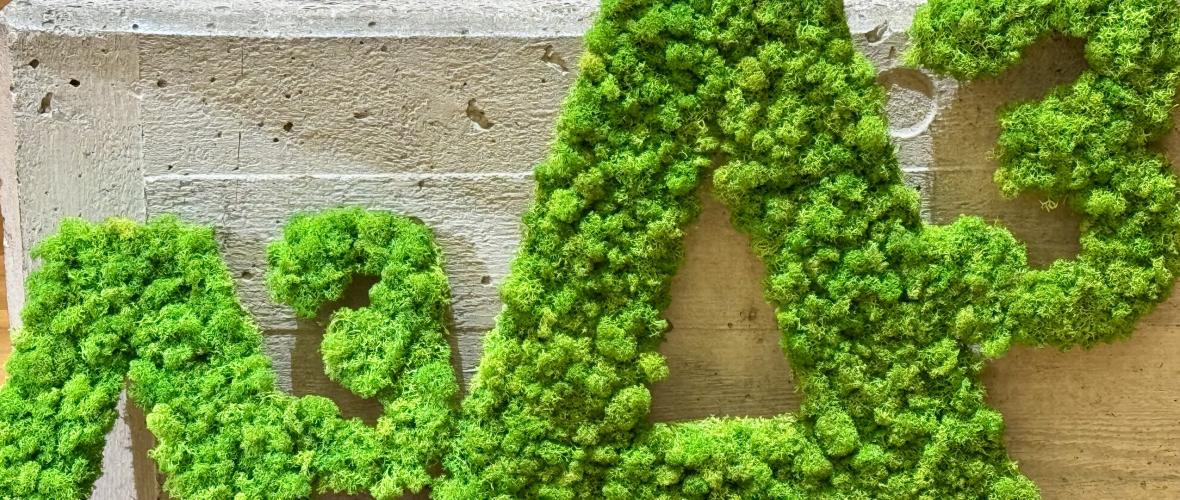 Baukrise, Büroboom und Bildungslücke – worüber Augsburg gerade spricht
