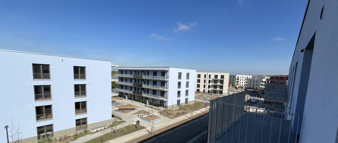 Aktuelles aus der Immobilienbranche – Mai 2026