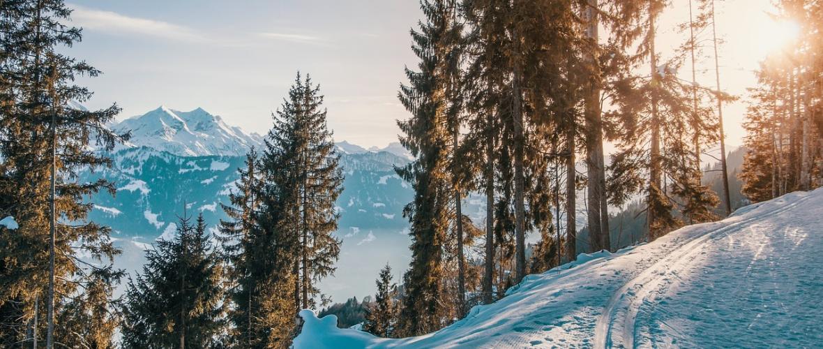 Zwischen Klima, Kapital und Knappheit: Wie sich der Markt für Skiimmobilien neu sortiert