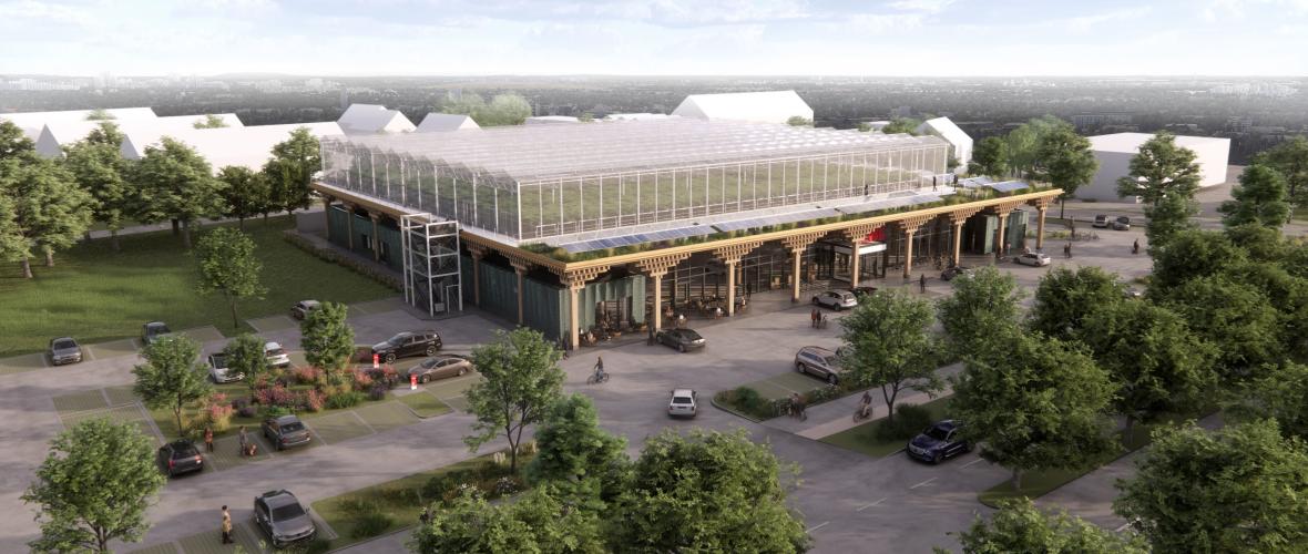 Salat direkt vom Supermarktdach