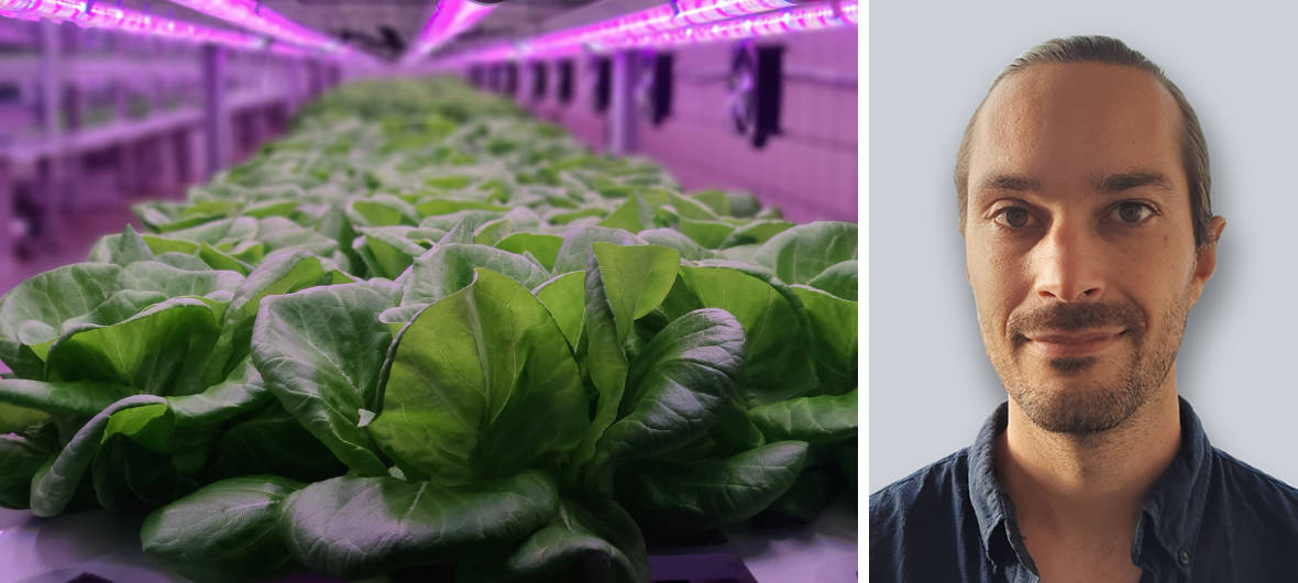 Vertical Farming: Wenn Salat im Hochhaus wächst: Das vor kurzem gegründete Unternehmen Potager Farm will die vertikale Landwirtschaft in Deutschland vorantreiben - den Anbau von Gemüse und Kräutern in hohen Gebäuden mitten in der Stadt.