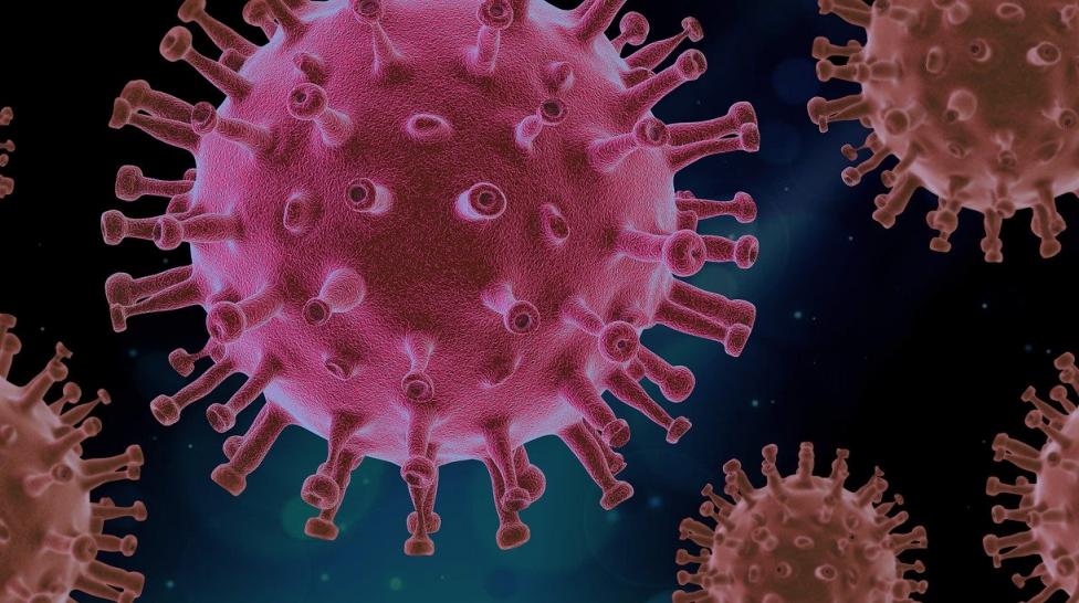 SARS-Cov-2: Das Virus im System